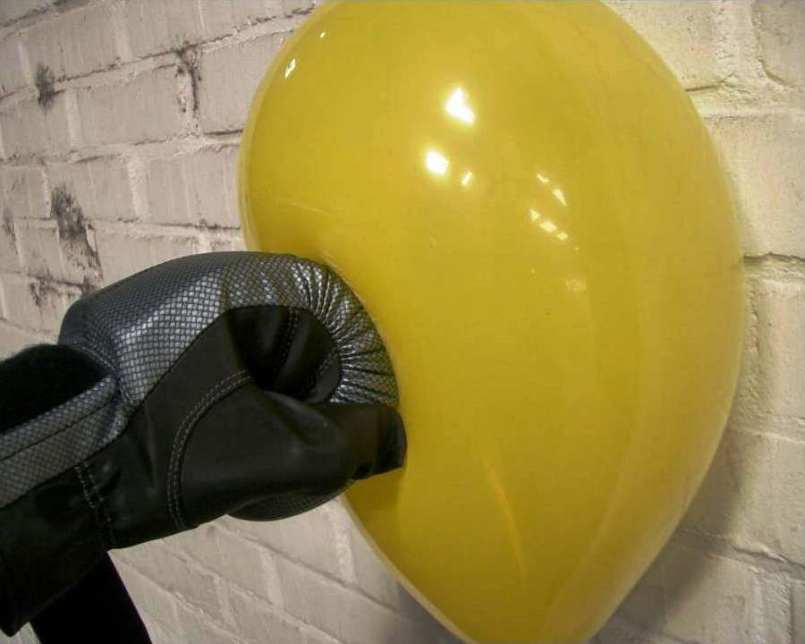 <p>LuftballonShow</p>